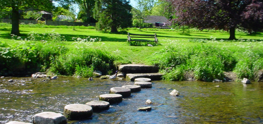 [Your 5 Step Challenge] Turn Stumbling Blocks Into Stepping Stones ...